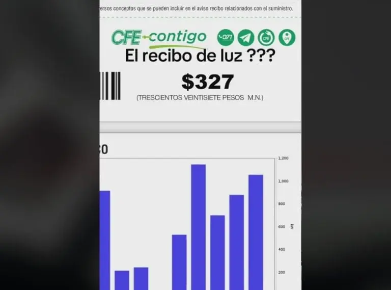 Hombre presume su recibo de luz (TikTok)