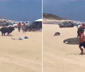 Imágenes sensibles: Captan momento en el que toro embiste a mujer en playa de Los Cabos, "no lo haga"
