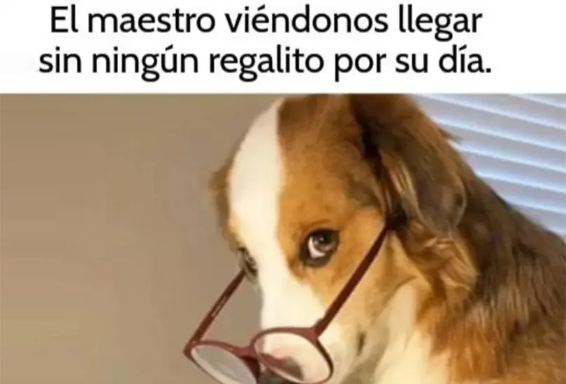 La labor que realizan los docentes todo los d&iacute;as en las aulas es esencial para el progreso de las comunidades, aunque no siempre es valorada como se deber&iacute;a.