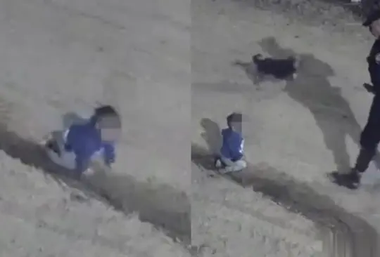 VIDEO | Encuentran a bebé gateando junto a su perro en plena madrugada