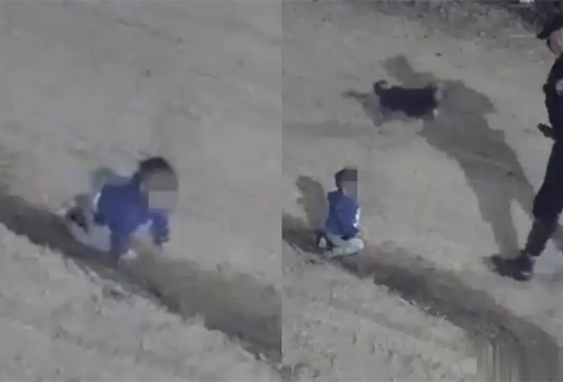 VIDEO | Encuentran a bebé gateando junto a su perro en plena madrugada VIDEO | Encuentran a bebé gateando junto a su perro en plena madrugada