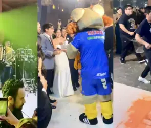 La boda del año: fiesta en Monterrey se viraliza por invitar a Grupo Pesado y la botarga de Tigres | VIDEO