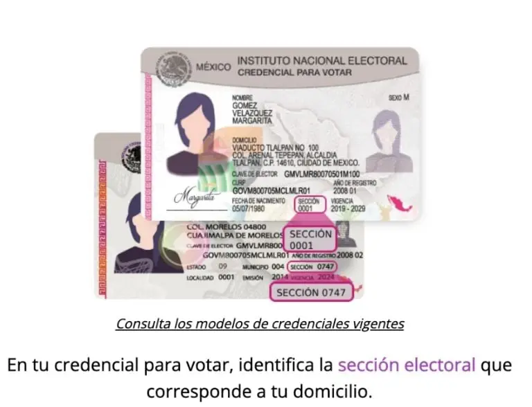 El número de sección aparece en tu INE Créditos: Captura de pantalla