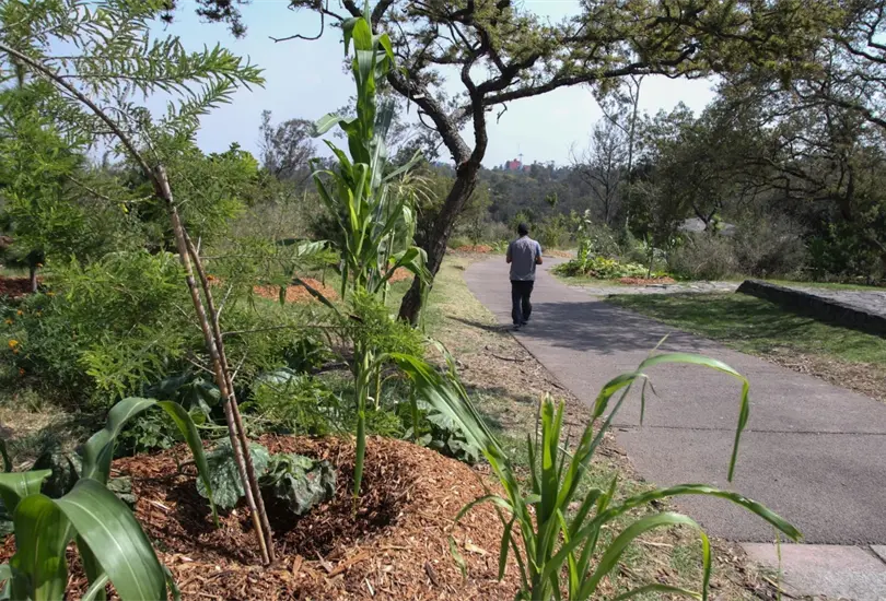Frente al alto calor estas son algunas de las mejores opciones para mantener fresca tu casa Frente al alto calor estas son algunas de las mejores opciones para mantener fresca tu casa