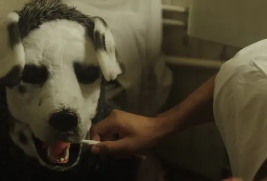 RESEÑA: Good Boy, la escalofriante película de terror del hombre-perro llega a salas de México RESEÑA: Good Boy, la escalofriante película de terror del hombre-perro llega a salas de México