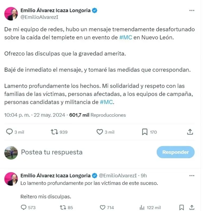 Álvarez Icaza culpa a su equipo de redes - Captura de pantalla