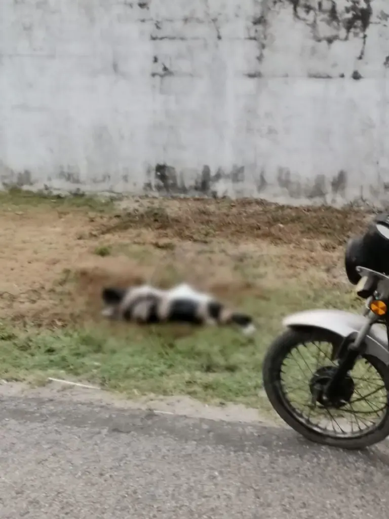Encuentran cuerpos decapitados en Tabasco con