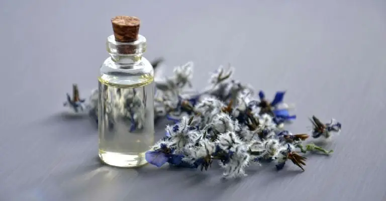Cómo ahuyentar a los alacranes con plantas | Foto: Pexels