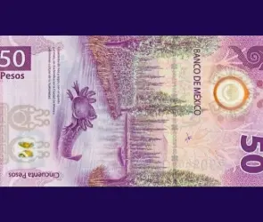 ¿Lo tienes? Ofrecen millonada por billete de ajolote de 50 pesos