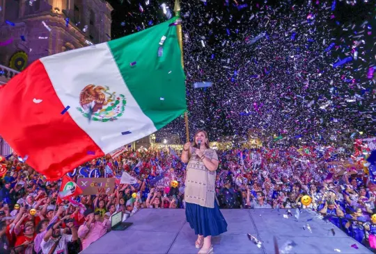 Su carrera política inició en el ámbito local, donde se desempeñó como delegada en la alcaldía Miguel Hidalgo de la Ciudad de México entre 2009 y 2012, siendo la primera mujer en ocupar dicho cargo.