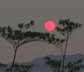 ¿Qué es y cuándo ver el fenómeno de la Superluna de Fresa 2024?