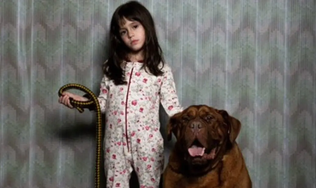 Cuando acecha la maldad (14 de junio). Los vecinos de un peque&ntilde;o pueblo rural descubren que un demonio est&aacute; a punto de nacer entre ellos. Intentan escapar desesperadamente, pero puede que sea demasiado tarde.