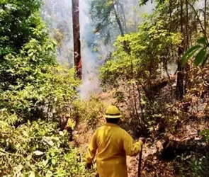 Incendios forestales en Valle de Bravo son intencionales, aseguran autoridades