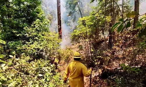 Incendios forestales en Valle de Bravo son intencionales, aseguran autoridades