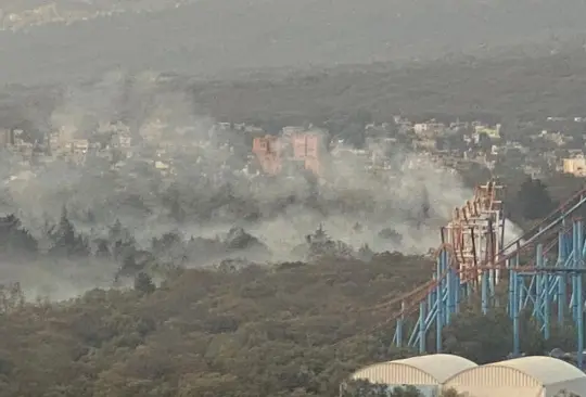 El Bosque de Tlalpan tiene sus raíces en la época prehispánica, cuando era parte del sistema lacustre de la cuenca del Valle de México 