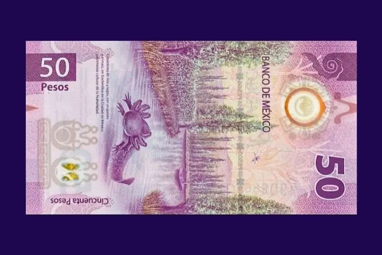 Otorgan 3 millones y medio de pesos al propietario de este billete de 50 pesos