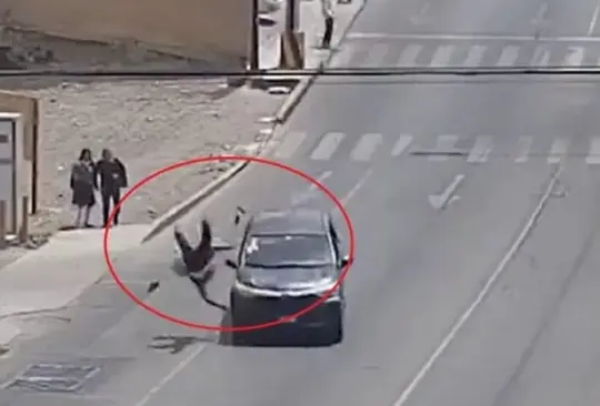 El tr&aacute;gico incidente vial ocurri&oacute; en la ciudad de Puebla 