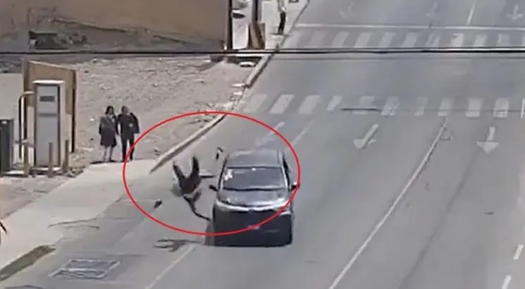 El tr&aacute;gico incidente vial ocurri&oacute; en la ciudad de Puebla 