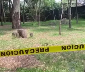 Terror en el Bosque de Nativitas: Hallan otro perrito desollado, ya suman 25 cruelmente asesinados