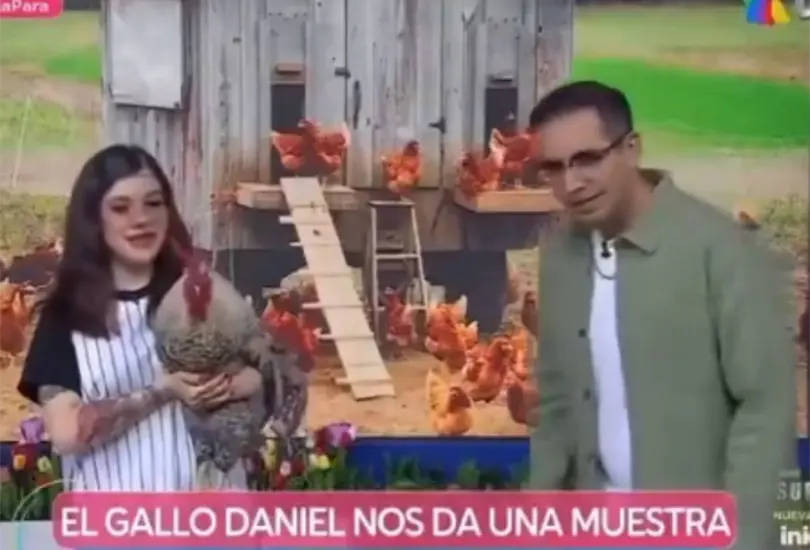 El Capi recordó uno de sus momentos mas memorables en Venga la Alegría El Capi recordó uno de sus momentos mas memorables en Venga la Alegría