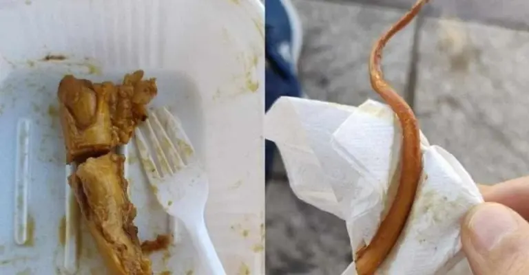 Así era la cola que el joven encontró en su comidaFoto: Facebook Ex soldada