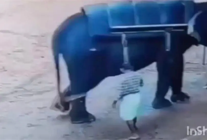 Las imágenes pueden ser sensibles para algunas personas Las imágenes pueden ser sensibles para algunas personas