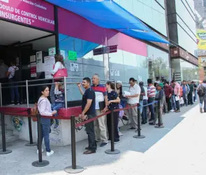 ¡Evita multas!: ¿Cómo saber si tu licencia de conducir es falsa?