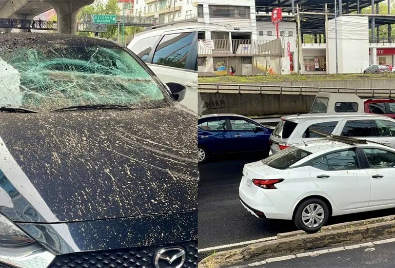 Lluvias causan desprendimientos en el segundo piso del Perif&eacute;rico: canaleta cae sobre autos