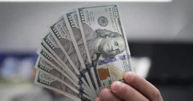El dólar es la segunda moneda más importante en el paísFoto: Especial