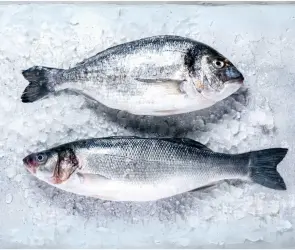 Este es el pescado que prolongar&iacute;a la esperanza de vida, revela estudio