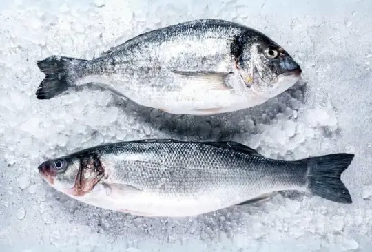 El pescado es un alimento fuerte en proteínas 