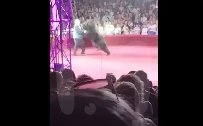 Oso ataca a domador de circo (Redes sociales)