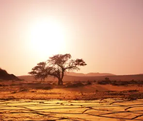 Canícula 2024: estos son los estados donde hará más calor en México