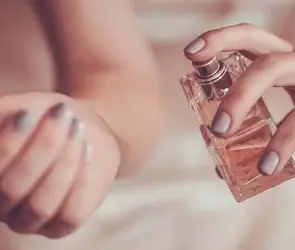 ¿Las feromonas influyen en la atracción? Esto dicen los expertos