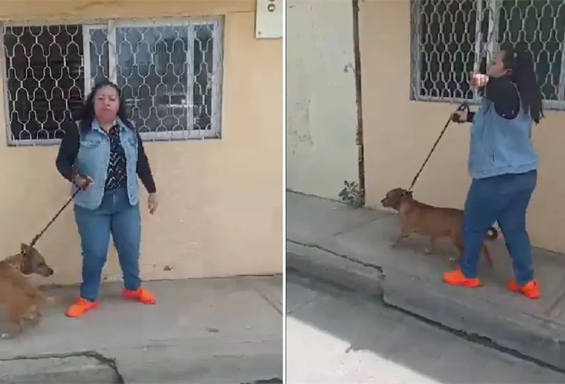 Mujer no recoge los desechos de su perro Mujer no recoge los desechos de su perro