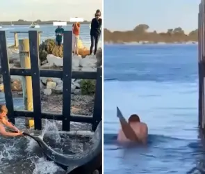 El momento en el que tibur&oacute;n desaparece a hombre en el mar frente a su familia