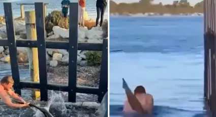 El momento en el que tiburón desaparece a hombre en el mar frente a su familia