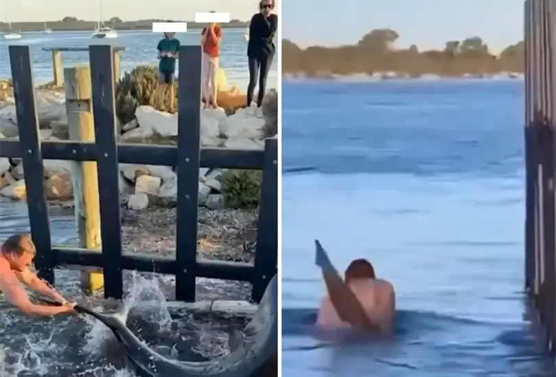 El tibur&oacute;n sumergi&oacute; al hombre que intent&oacute; ayudarlo. 