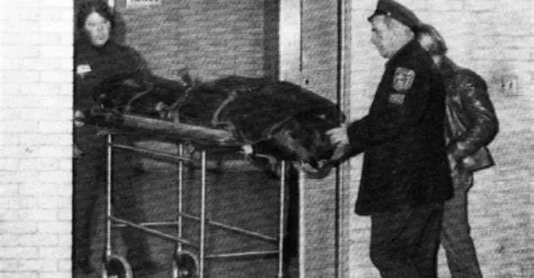 John Lennon murió de manera inmediata por los disparosFoto: Especial