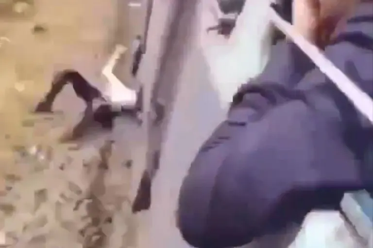 Hombre cae de tren en movimiento y es arrollado a toda velocidad - Captura de pantalla