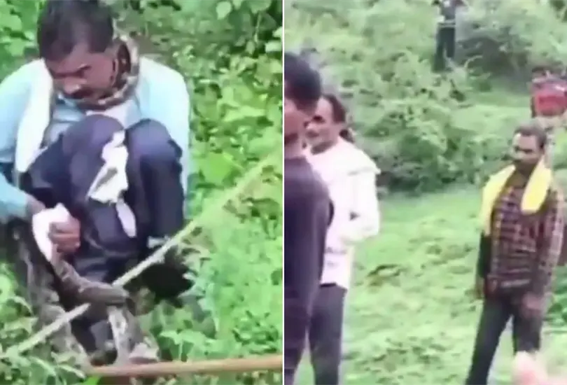 El hombre permaneci&oacute; inm&oacute;vil para que el animal no lo agrediera m&aacute;s