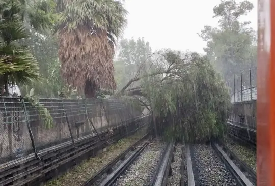 Caos por INTENSAS LLUVIAS en CDMX: autoridades activan Alerta Amarilla; cae árbol en la Línea 5