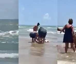 Ataque de tiburón en Isla del Padre deja dos personas heridas en pleno festejo del 4 de julio | VIDEO