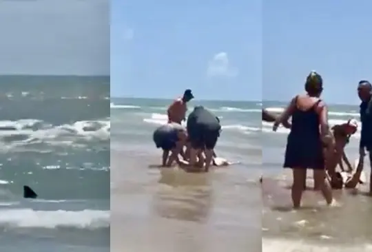 Ataque de tiburón en Isla del Padre deja dos personas heridas en pleno festejo del 4 de julio | VIDEO