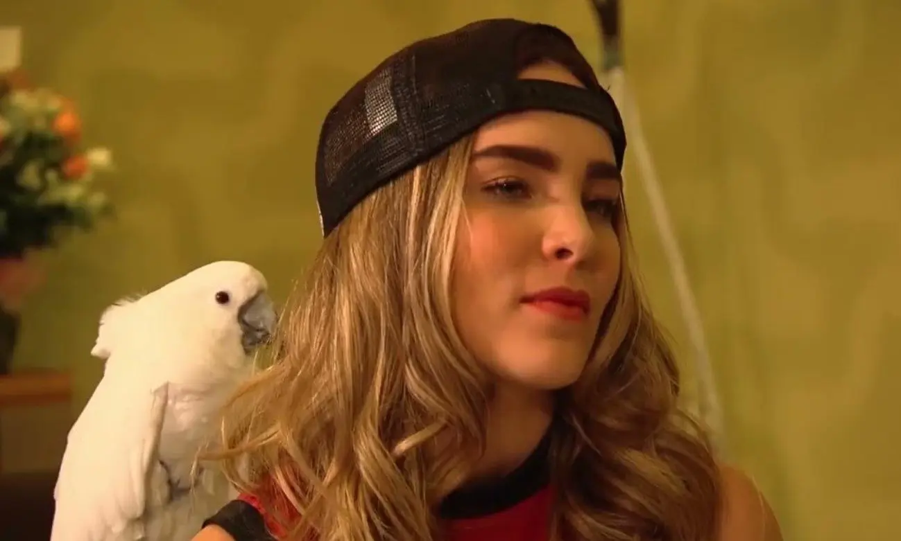 En 2011, se estrenó un reality show titulado Belinda, un reality sobre mi vida por Cosmopolitan Televisión.