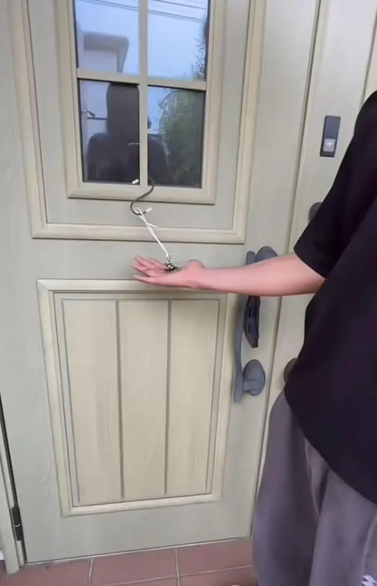 El joven mostró varios puntos donde tenía colgadas sus libélulas Foto: Captura