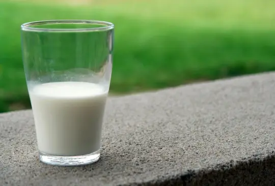 Profeco revela cuáles son las marcas de leche vegetal que no deben consumir los niños