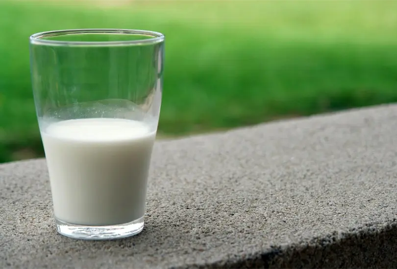 Profeco revela cuáles son las marcas de leche vegetal que no deben consumir los niños Profeco revela cuáles son las marcas de leche vegetal que no deben consumir los niños