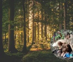 INSÓLITO: encuentran a mujer estadounidense atada a un árbol en medio de un bosque de India