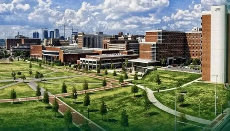 Universidad de Alabama en Birmingham